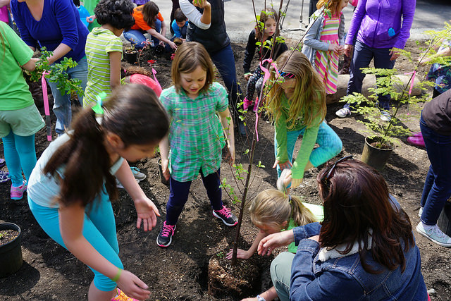 17051216998_a527a6f3ea_z