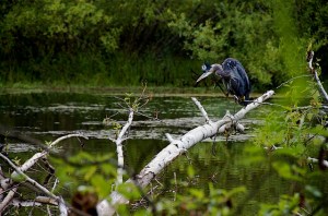 4876615339_b28f3f8329_z